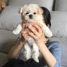 rain's profile picture