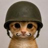 Yo 🔎𝕏 profil fotoğrafı