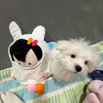 1ofmANYLunars's profile picture
