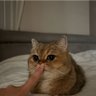 matsu profil fotoğrafı