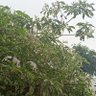 Фото профиля Kaigreal