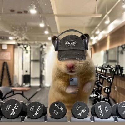 tep626's profile picture