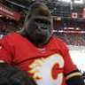 Canadian Ape 🔥🦍🔥 profil fotoğrafı