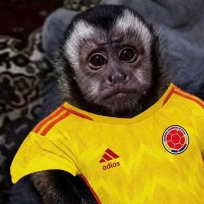 El PIÑO's profile picture