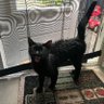 Фото профиля Mittenz1005