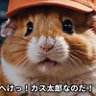 成東行き's profile picture