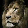 ساده بود، profil fotoğrafı