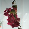 Фото профиля Chikku 073