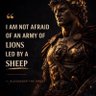 SHIAx25B profil fotoğrafı