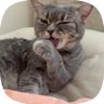 Tuğba profil fotoğrafı