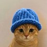 öx_BIGN's profile picture