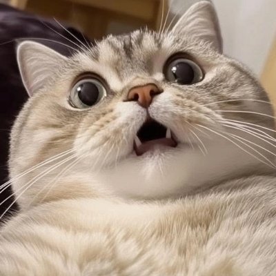 Demidovich23691's profile picture