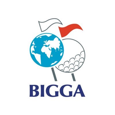 BIGGALtd's profile picture