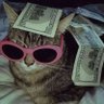 leyla's profile picture