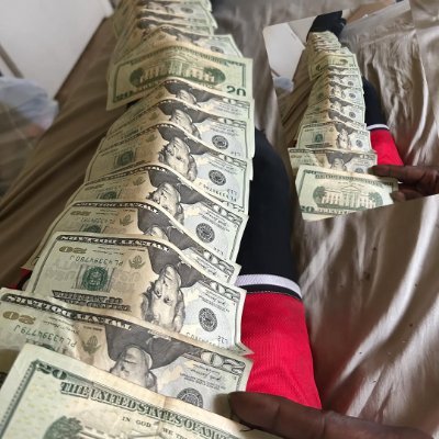 breydonwidbc10's profile picture