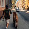 öyle mi alay komutanı! 的头像
