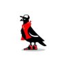 E11VNflows's profile picture