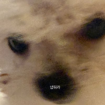 👾's profile picture