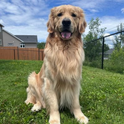 lynn2wine's profile picture