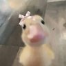 Profilbild von 𝚞𝚜𝚎𝚛_𝚌𝚊𝚗𝚎𝚝𝚘𝚗𓅭 ྀིྀིྀིྀིྀ