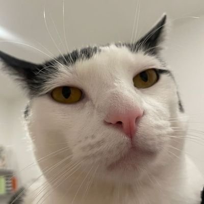 rz1v3ely_16's profile picture