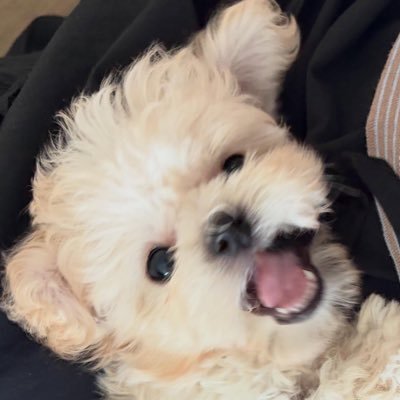 ม้าด's profile picture