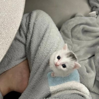 Mayivi8's profile picture