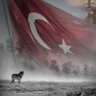 🇹🇷 Kürşat 🎌💛💙's profile picture