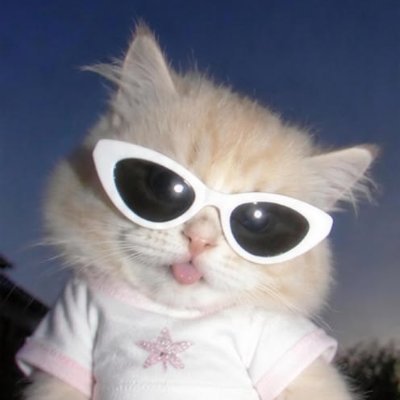 Mewmewtnp's profile picture