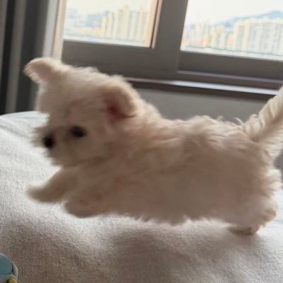 vkddl27's profile picture