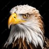 Profilbild von DavixMEagle