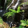 Фото профиля Dinosaurusss