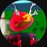 capdo profil fotoğrafı