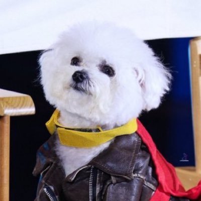 To infinity and beyond's profile picture