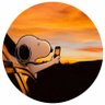 沐风's profile picture