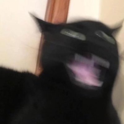 ꜱʟᴇᴇᴘᴀʟʟᴅᴀʏ's profile picture