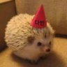 Ta's profile picture