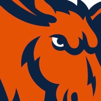 Utica Football's profile picture