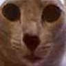 Profilbild von Mordizca