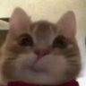 5 dk sonra ara oglum bakkala gitti gelsin's profile picture