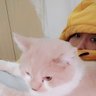 Zzz profil fotoğrafı
