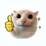 Xiao Tao's profile picture
