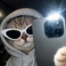 Profilbild von ne
