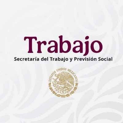 STPS México's profile picture