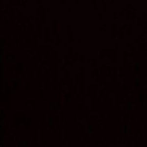 BUS_SONRAY's profile picture