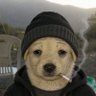 PAMZY's profile picture