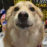 haru's profile picture