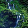 Фото профиля saju