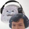 Profilbild von Phoced in
