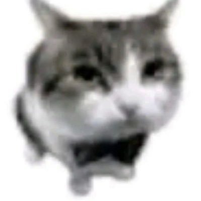 tripledetambo's profile picture